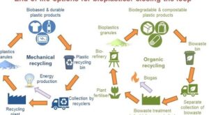 Materiales renovables, reciclables y biodegradables: beneficios y ...