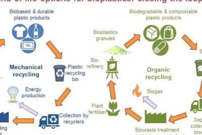 Materiales renovables, reciclables y biodegradables: beneficios y ...