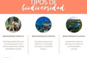 Biodiversidad- Definición, tipos, características e importancia