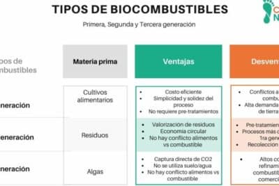 Qué son los biocombustibles y qué tipos existen? - CARBON NEUTRAL +