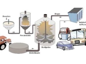 Qué es el Biogás? Fuente de energía Renovable y Sostenible