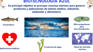 ▷ Biotecnología azul: Mundo marino | Ejemplos y aplicaciones