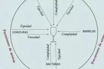 Carrera de Administración