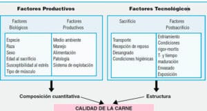 MANEJO PRODUCTIVO Y REPRODUCTIVO EN BOVINOS, OVINOS, CAPRINOS Y ...