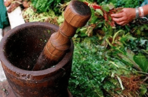 Vegetales como nuevas drogas psicoactivas: una revisión narrativa ...