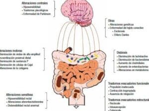 Constipación crónica. Conceptos actuales desde la fisiopatología ...