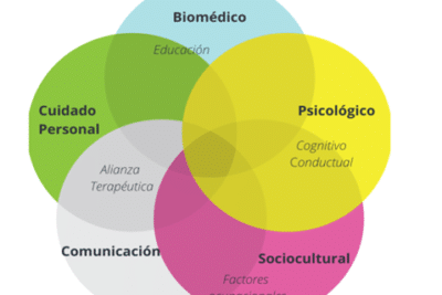 El Modelo Biopsicosocial de la Fisioterapia y la Educación ...