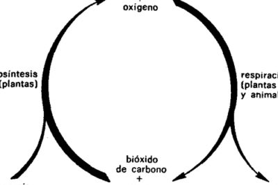 Mayo 2023 – EstudioBíblicoTiquico