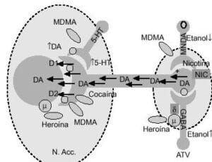 Éxtasis (3,4-metilendioximetanfetamina, MDMA): aspectos ...