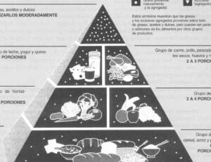 Capítulo 38: Fomento de dietas apropiadas y estilos de vida saludables