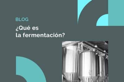 Autmix Blog | ¿Qué es la fermentación y cómo funciona?