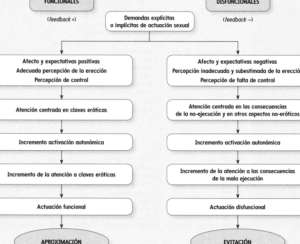 Disfunciones sexuales, trastornos parafílicos y Disforia de género