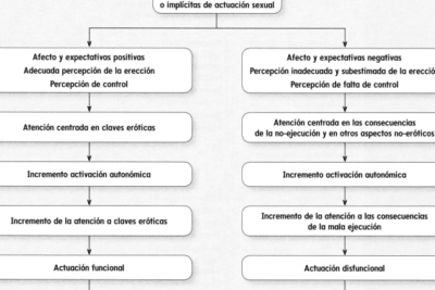 Disfunciones sexuales, trastornos parafílicos y Disforia de género