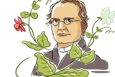 Gregor Mendel: cómo un monje con un jardín de arvejas descubrió ...