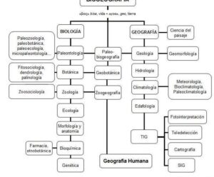 Relación de la biogeografía con otras ciencias