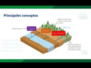 Conociendo las Fajas Marginales y su importancia