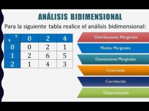 Análisis bidimensional (Correlación de Pearson y Determinación)