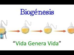 🦠 Teoría de la Biogénesis 🦠 [Fácil y Rápido] | BIOLOGÍA | - YouTube