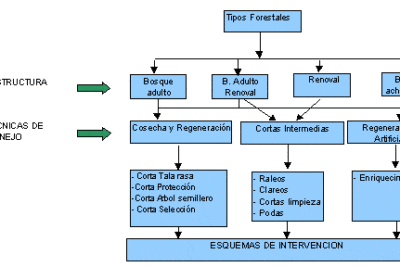 metodología