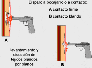 FUNDAMENTOS SOBRE ARMAS DE FUEGO Y MUNICIONES