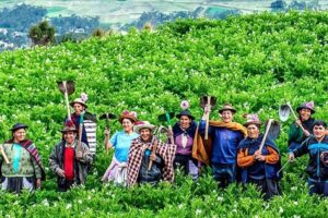 Día del Campesino en Perú: Conoce el significado y la importancia ...