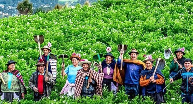 Día del Campesino en Perú: Conoce el significado y la importancia ...