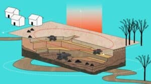 Proyecto Cañaverales: esto es lo que se sabe sobre los impactos ...