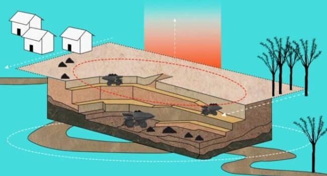 Proyecto Cañaverales: esto es lo que se sabe sobre los impactos ...