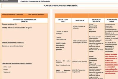 Planes de cuidado de enfermería | El Rincon del estudiante de ...