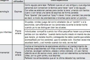 Los guardianes silenciosos de la Quebrada de Humahuaca ...