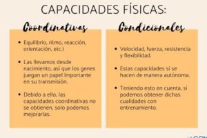 Cuáles son las capacidades físicas condicionales - Ejemplos y esquemas