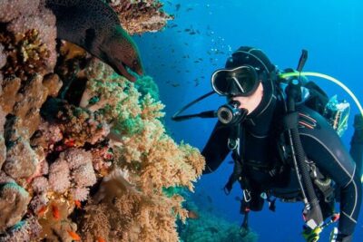 10 reglas de buceo que debes conocer si eres principiante