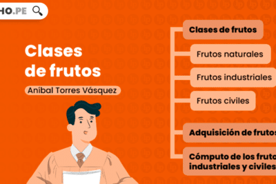 Frutos: concepto, clases. Bien explicado por Aníbal Torres Vásquez ...