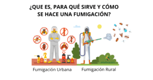 Qué es, para qué sirve y cómo se hace una fumigación? -