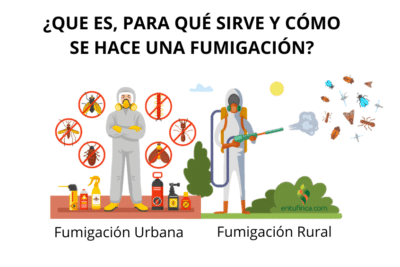 Qué es, para qué sirve y cómo se hace una fumigación? -