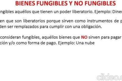 10 Ejemplos de Bienes Fungibles y No Fungibles: Una Guía Clara