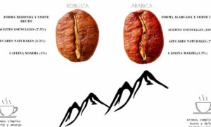 Cafés Sierra Segura - Café Arábica vs Café Robusta